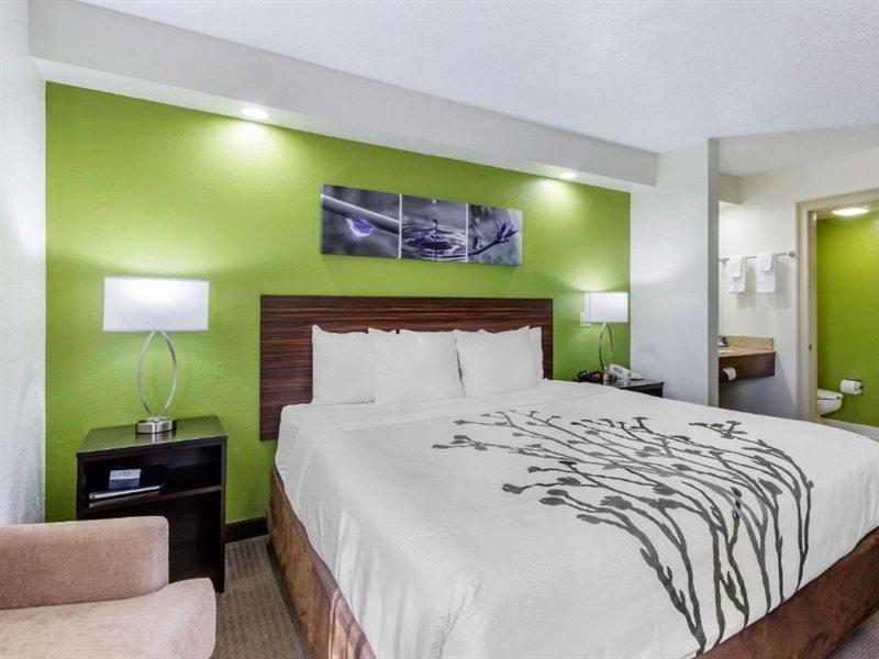 Sleep Inn Near Busch Gardens - Usf Temple Terrace Esterno foto
