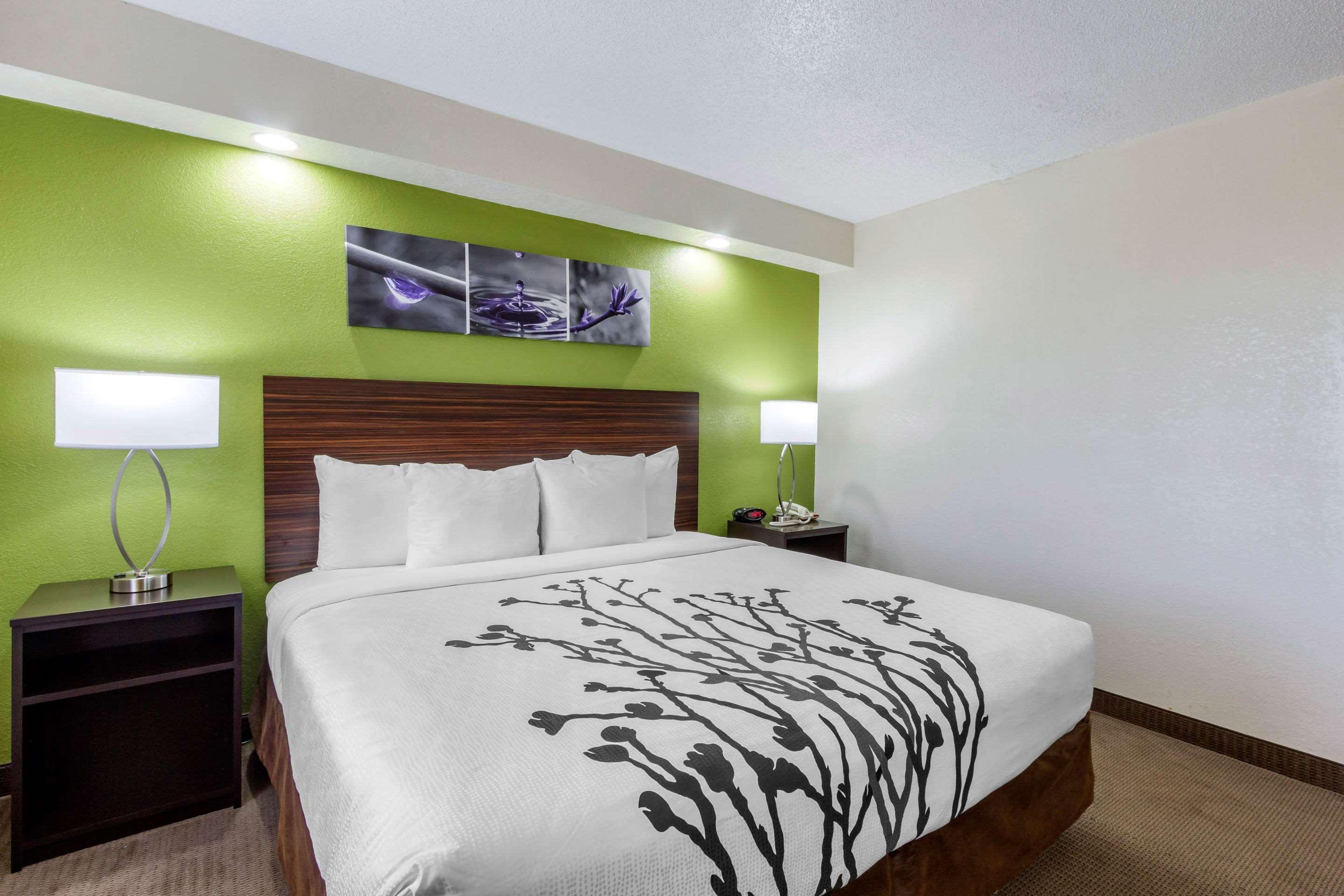 Sleep Inn Near Busch Gardens - Usf Temple Terrace Esterno foto