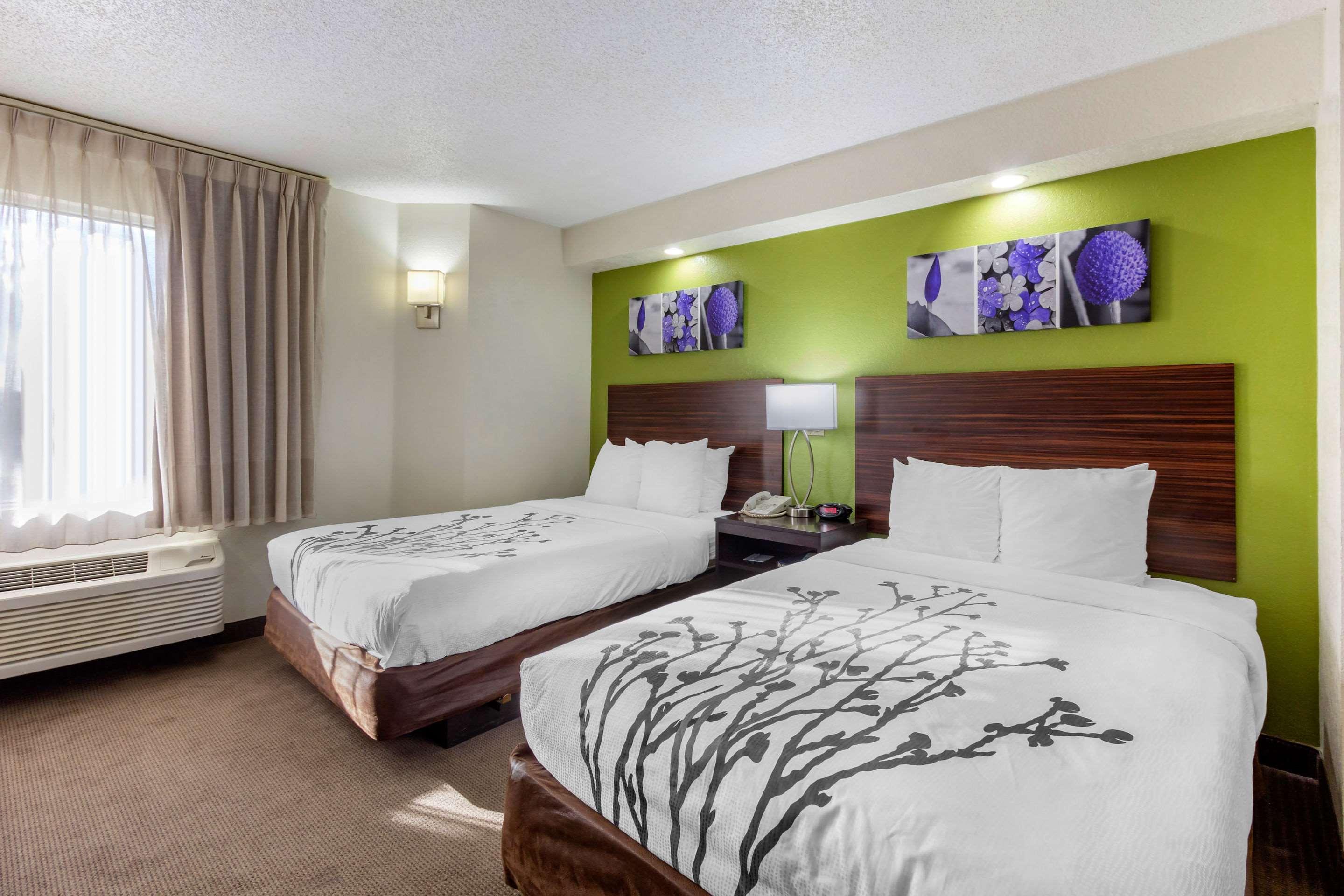Sleep Inn Near Busch Gardens - Usf Temple Terrace Esterno foto