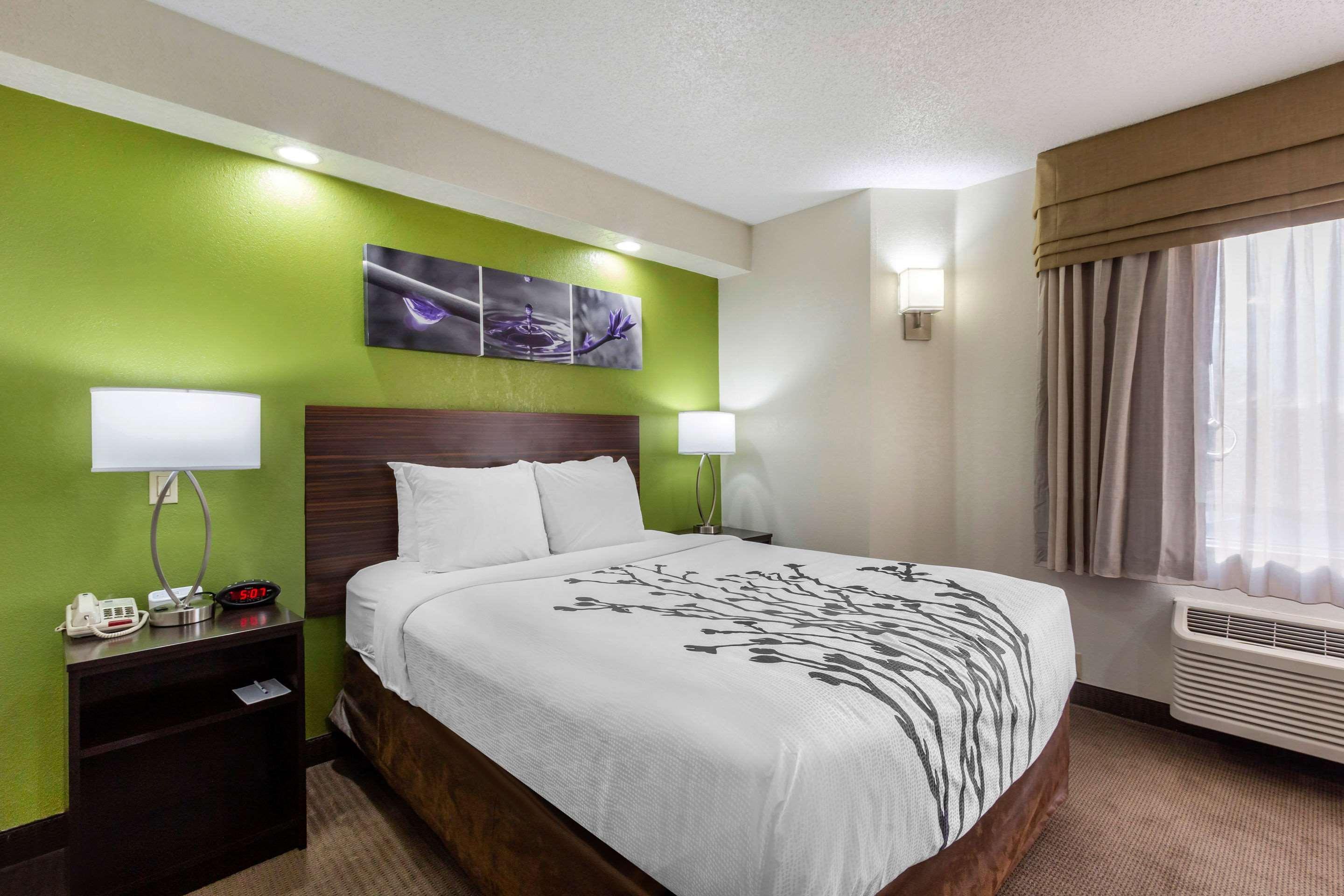 Sleep Inn Near Busch Gardens - Usf Temple Terrace Esterno foto