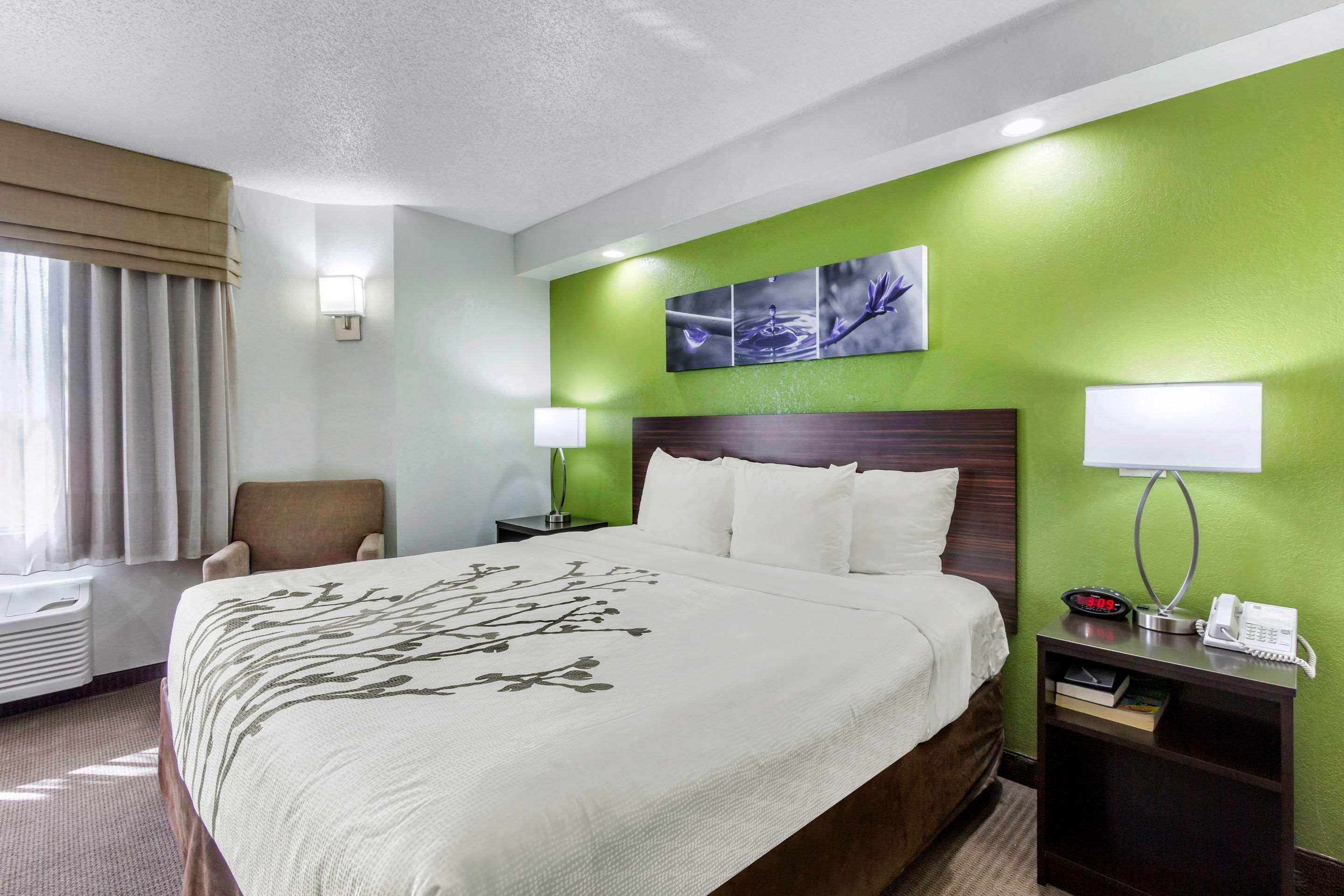 Sleep Inn Near Busch Gardens - Usf Temple Terrace Esterno foto
