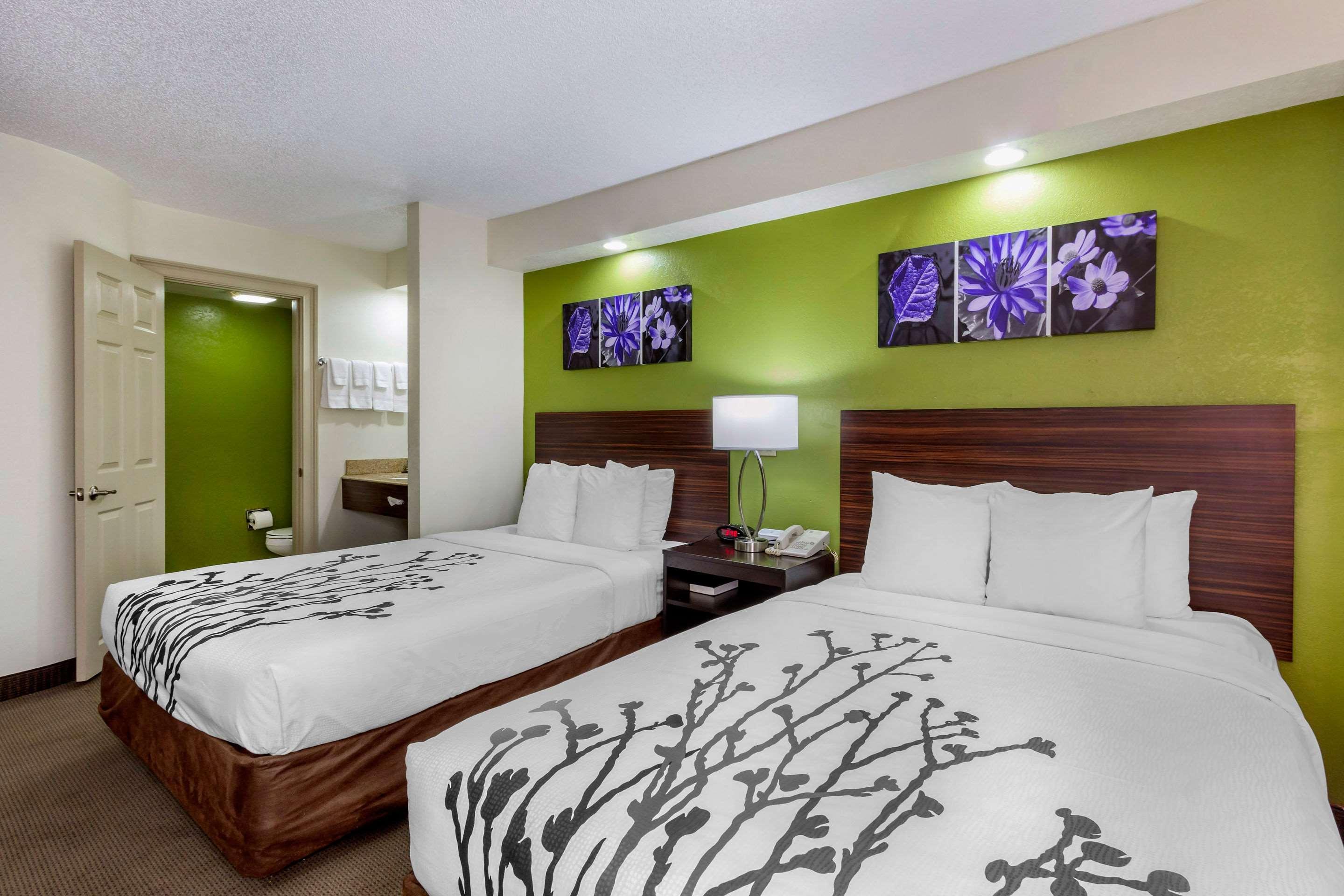 Sleep Inn Near Busch Gardens - Usf Temple Terrace Esterno foto