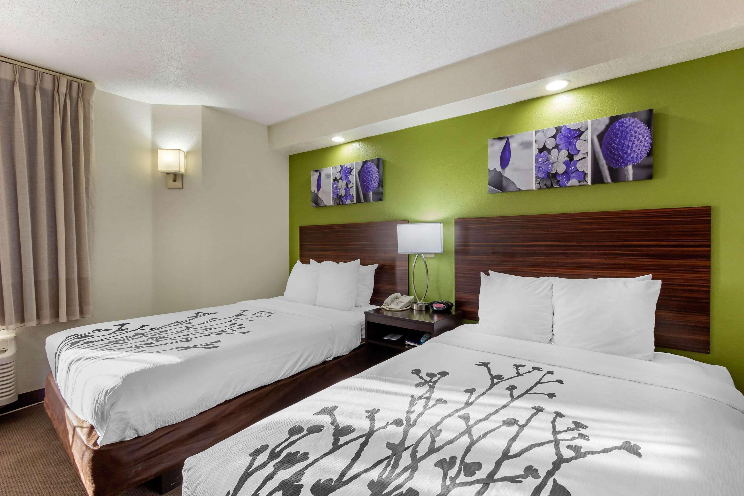 Sleep Inn Near Busch Gardens - Usf Temple Terrace Esterno foto