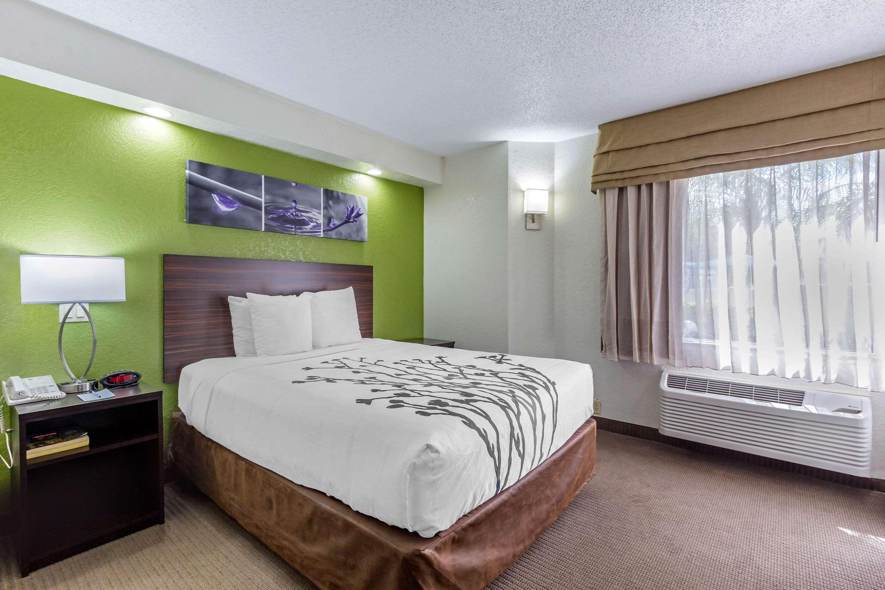 Sleep Inn Near Busch Gardens - Usf Temple Terrace Esterno foto