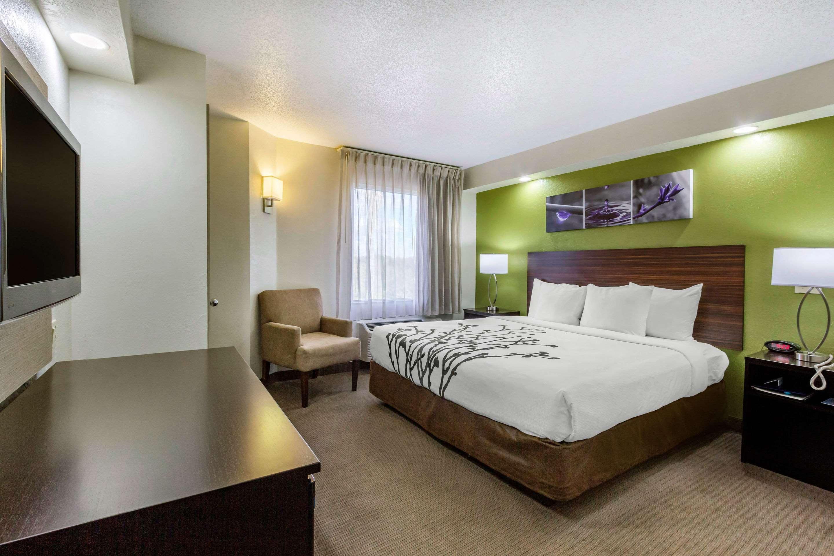 Sleep Inn Near Busch Gardens - Usf Temple Terrace Esterno foto